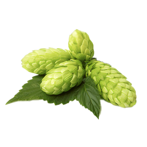 hops