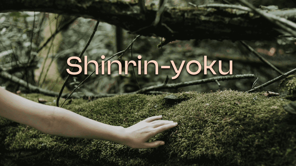 Shinrin-yoku