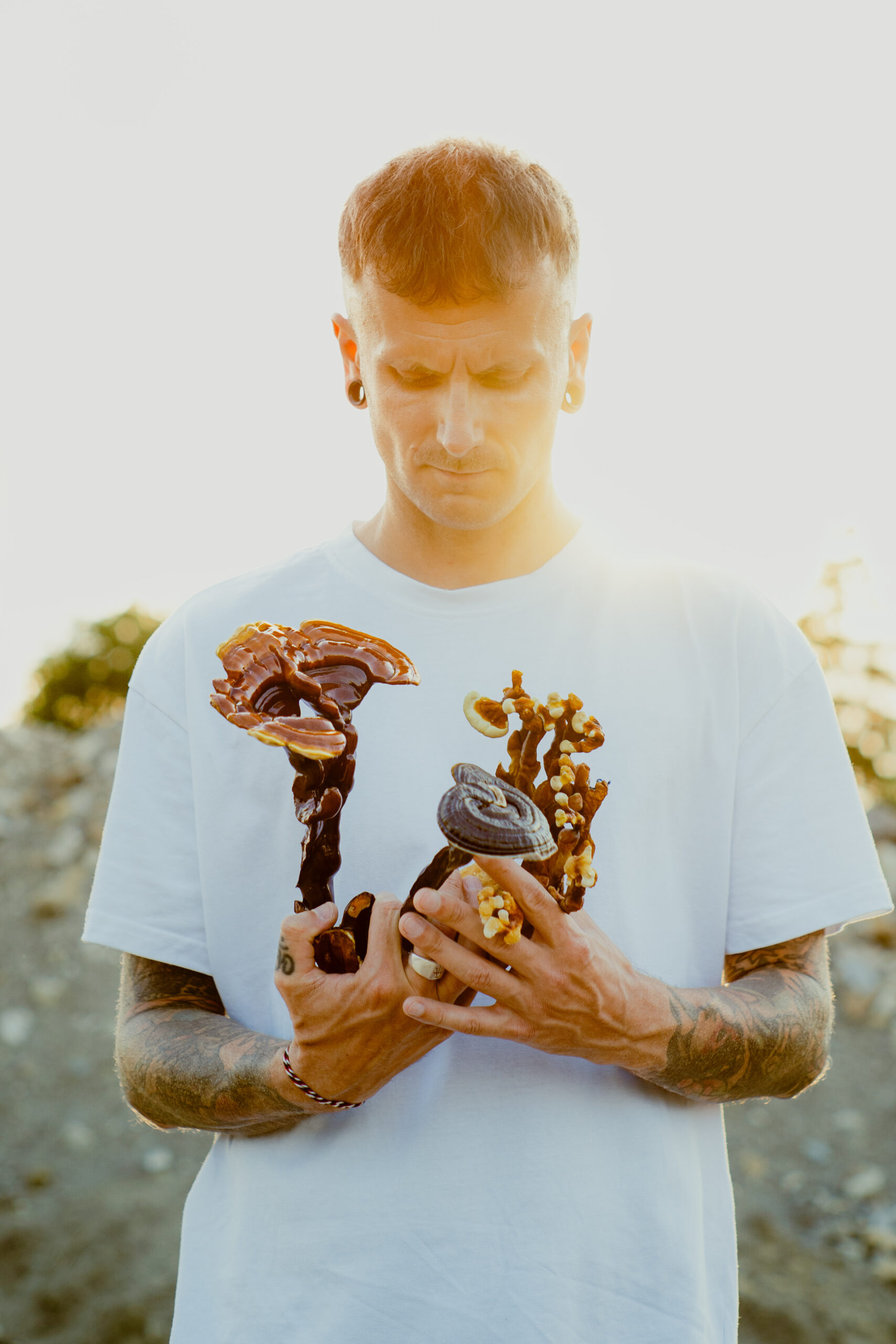Dominik Śmigała z Moonshrooms w białej koszulce, o zachodzie słońca, trzyma w dłoniach owocniki reishi — brązowe, lśniące kapelusze oraz rozgałęzione formy z jasnymi końcówkami; na przedramionach widoczne tatuaże