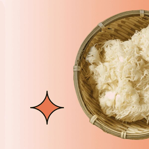 Napoje z Lion’s Mane