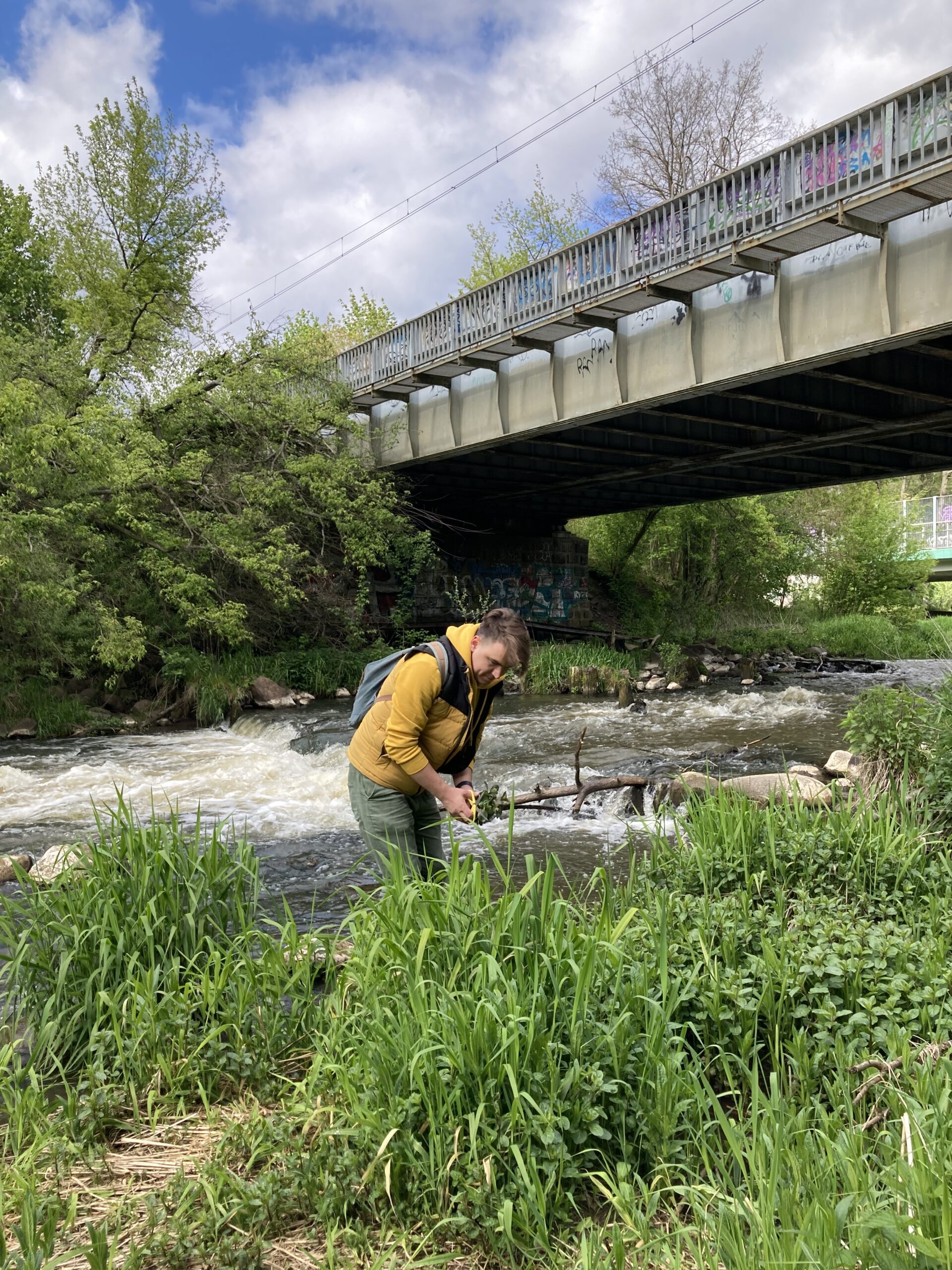 A person bending down to forage plants by a riverbank, wearing a backpack, under a concrete bridge surrounded by greenery.