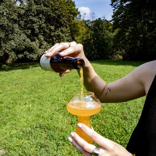 Napoje na bazie grzybów