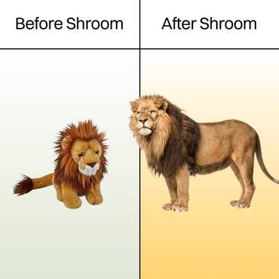 Before / after shroom