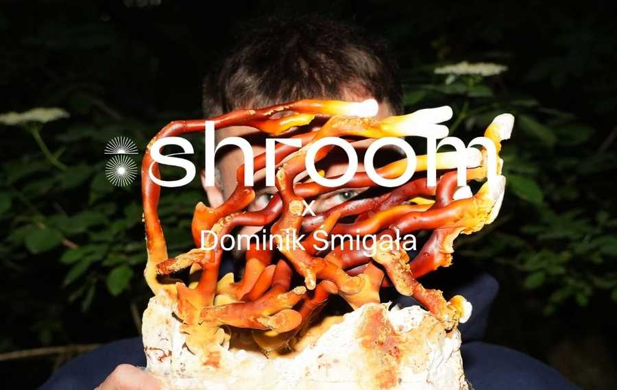 “I wake up in the morning knowing I’m doing a good thing.” A conversation with Dominik Śmigała from Moonshrooms