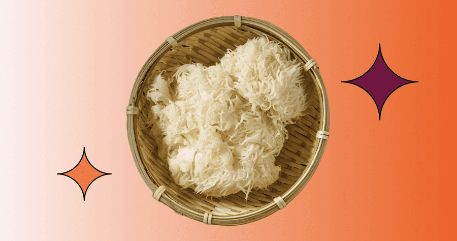 Soplówka jeżowata – właściwości, działanie, przeciwwskazania i opinie zwolenników