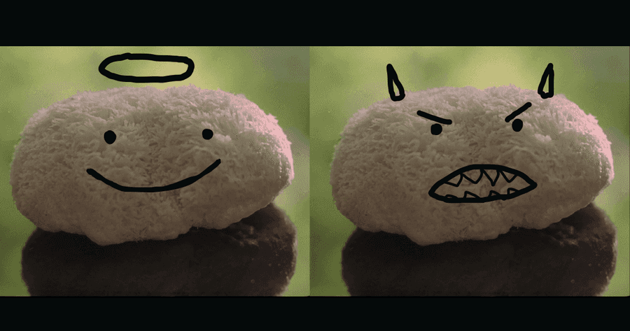 Unveiling the side effects of Lion’s Mane mushroom – Separating fact from fiction