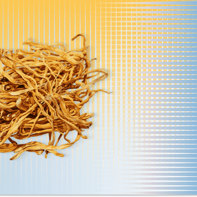 Unveiling the marvels of Cordyceps Militaris – Asian medicine and modern science